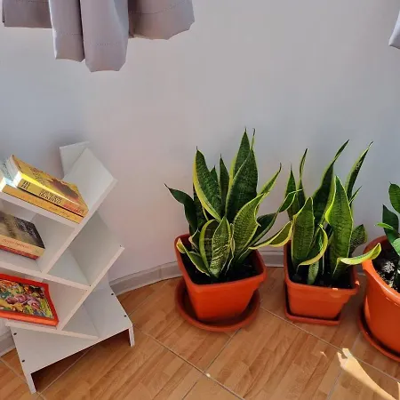 Apartamento 50mp Constanţa