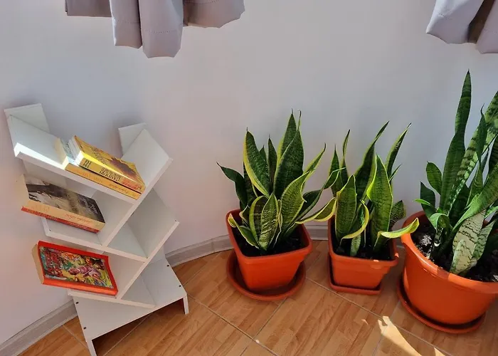 Apartment 50mp Constanţa